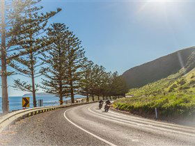 Lady Bay Beach - Accommodation Noosa 2