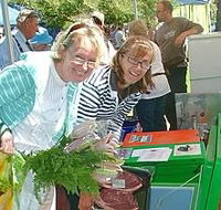Victor Harbor Farmers Market - Accommodation Noosa