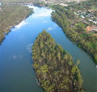 Sturt's Tree - Accommodation Noosa