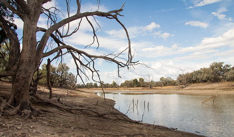 Toorale National Park - Accommodation Noosa 0