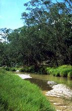 Salvator Rosa Section - Carnarvon National Park - Accommodation Noosa 0