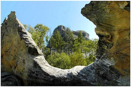 Salvator Rosa Section - Carnarvon National Park - Accommodation Noosa 1