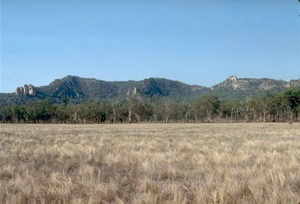 Salvator Rosa Section - Carnarvon National Park - Accommodation Noosa 3