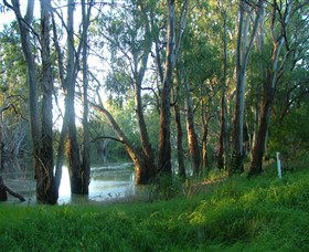 Five Rivers Fishing Trail - Accommodation Noosa 4