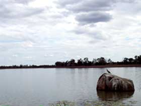Theresa Creek Dam - Accommodation Noosa 2