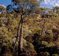 Ka Ka Mundi Carnarvon National Park - Accommodation Noosa