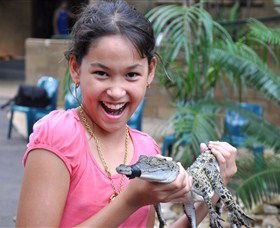 Crocodylus Park - Accommodation Noosa 1