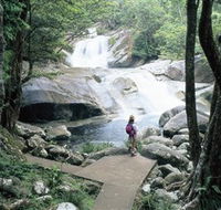Josephine Falls Wooroonooran National Park - Accommodation Noosa