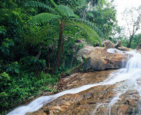 Finch Hatton Gorge - Accommodation Noosa 0