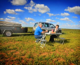 Long Paddock - Cobb Highway Touring Route - Accommodation Noosa 0