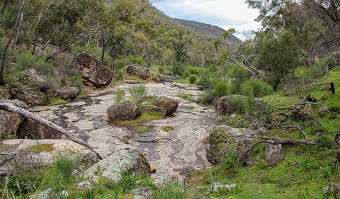 Lynchs Loop Trail - Accommodation Noosa 1