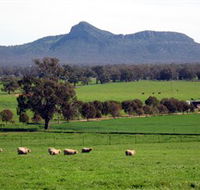 The Rock Nature Reserve - Accommodation Noosa