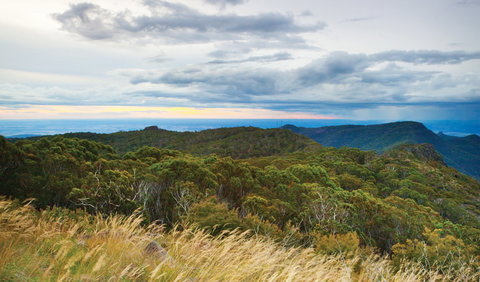 Doug Sky Lookout - Accommodation Noosa 2