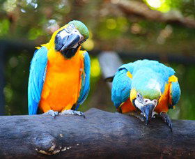 The Rockhampton Zoo - Accommodation Noosa 2