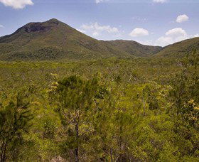 Kutini-Payamu (Iron Range) National Park (CYPAL) - Accommodation Noosa 0