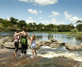 Polly McQuinns - Accommodation Noosa 1