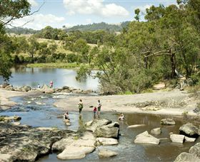 Polly McQuinns - Accommodation Noosa 0