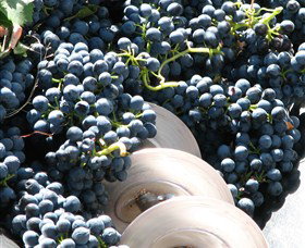 Orange Mountain Wines - Accommodation Noosa 2