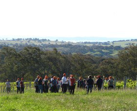 Cargo Road Wines - Accommodation Noosa 4