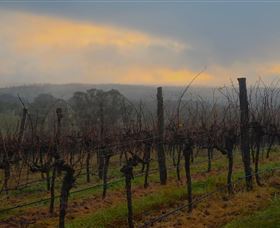 Bloodwood Estate - Accommodation Noosa 1