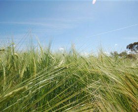 150 Degrees East Meridian - Accommodation Noosa 0