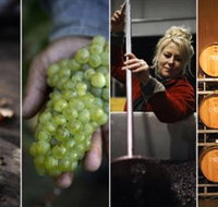 Ross Hill Wines - Accommodation Noosa