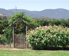 Samaria Farm - Accommodation Noosa 2