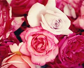 Samaria Farm - Accommodation Noosa 1