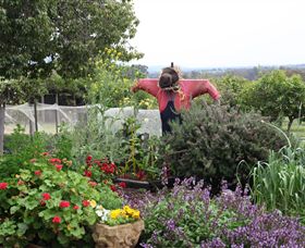 Samaria Farm - Accommodation Noosa 4