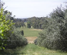 Samaria Farm - Accommodation Noosa 7