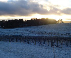 Charles Sturt University Winery - Accommodation Noosa 0