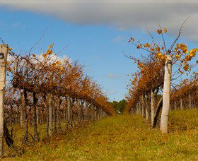 Charles Sturt University Winery - Accommodation Noosa 2