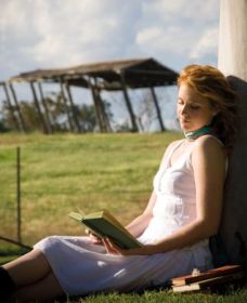 Poets Drive - Accommodation Noosa 0