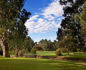 Commercial Golf Course - Accommodation Noosa 0