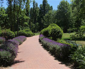 Glebe Park - Accommodation Noosa 1