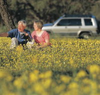Coalseam Conservation Park - Accommodation Noosa