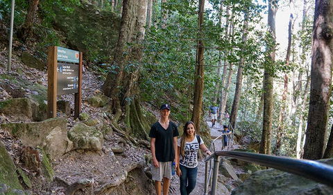 Federal Pass - Accommodation Noosa 3