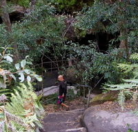Leura Cascades Fern Bower - Accommodation Noosa