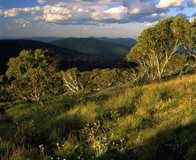 Namadgi National Park And Visitors Centre - Accommodation Noosa 2