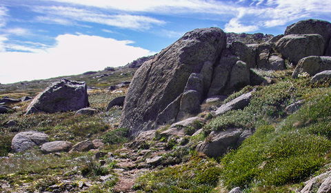 Mount Stillwell Walk - Accommodation Noosa 0