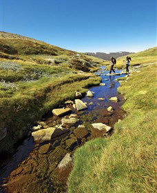 Australian Alps Walking Track - Accommodation Noosa 0
