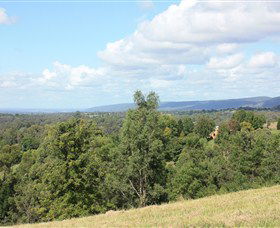 Kurrajong Village - Accommodation Noosa 1