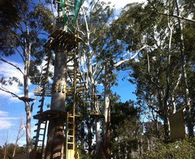 Trees Adventure Grose River Park - Accommodation Noosa 1