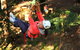 Trees Adventure Grose River Park - thumb 0