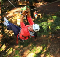 Trees Adventure Grose River Park - Accommodation Noosa