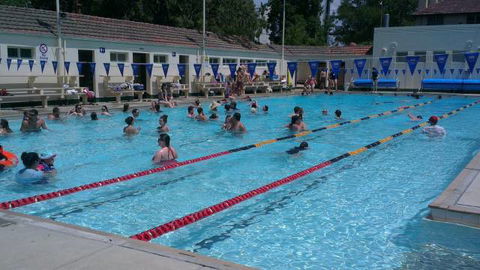 Manuka Pool - Accommodation Noosa 3