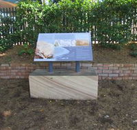 Coxs Road Interpretive Trail - Accommodation Noosa