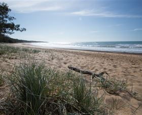 Mon Repos Beach - Accommodation Noosa 2