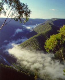 Long Point Lookout - Accommodation Noosa 0