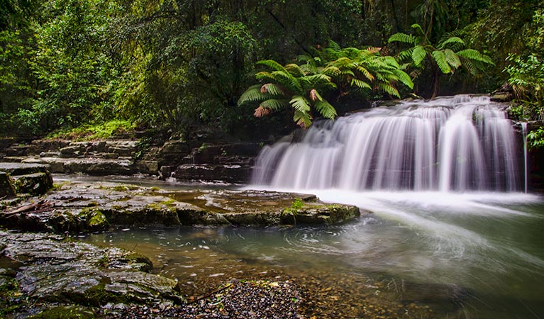  Accommodation Noosa